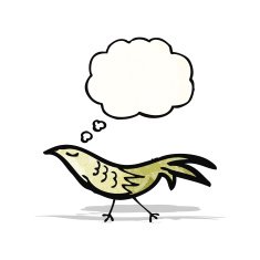 Cartoon Bird N88