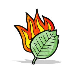 cartoon burning leaf N13