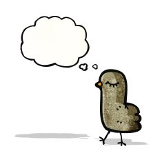 Cartoon Bird N91