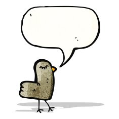 Cartoon Bird N93
