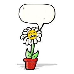 cartoon talking flower N3