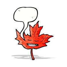 cartoon maple leaf with speech bubble