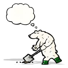 cartoon polar bear with thought bubble N53