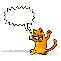 cartoon angry cat N5