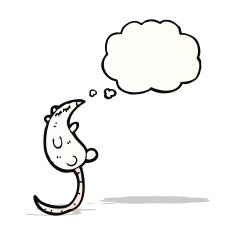 white mouse with thought bubble N3