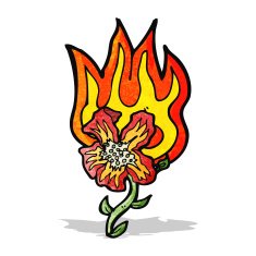 cartoon flaming flower N2