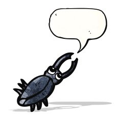 cartoon bug with speech bubble N43