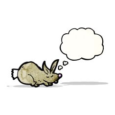 Cartoon Rabbit N46