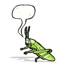 bug illustration