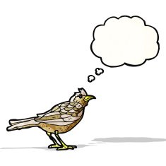 cartoon bird with thought bubble N311