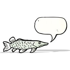 cartoon fish with speech bubble N115