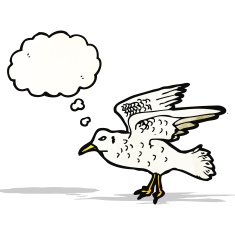 Cartoon Seagull N7