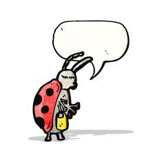 Cartoon Ladybug N56