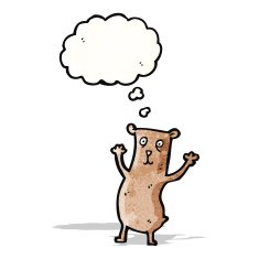 Cartoon funny bear N4