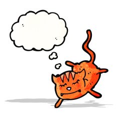 cartoon funny cat N6