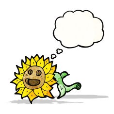 cartoon sunflower with thought bubble
