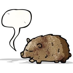 Cartoon Bear N49