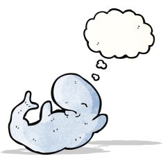 Cartoon Whale N40