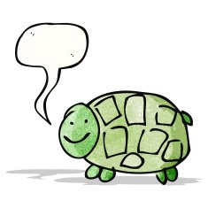 child's drawing of a tortoise