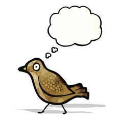 cartoon little bird N17