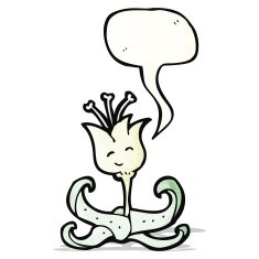 cartoon flower with speech bubble N59