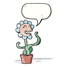 cartoon flower with speech bubble N61