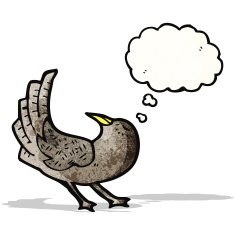 Cartoon Crow N12