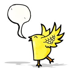 cartoon singing bird N13
