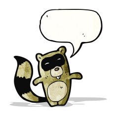 Cartoon Raccoon N14