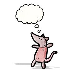 cartoon little mouse N12