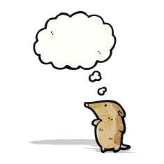 cartoon little shrew