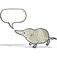 cute shrew illustration