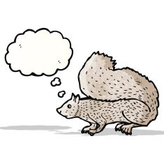 Cartoon Squirrel N37