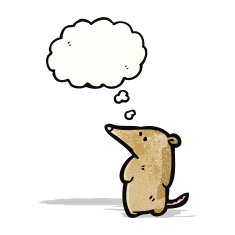 cute cartoon shrew with thought bubble