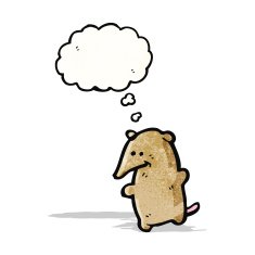 cute cartoon shrew with thought bubble N2