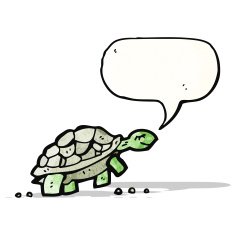 Cartoon Tortoise N31