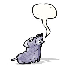 smug little dog cartoon