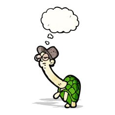 cartoon tortoise man