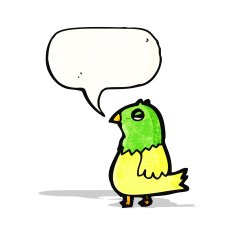 Cartoon Parrot N12