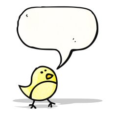 cartoon bird drawing with speech bubble N2