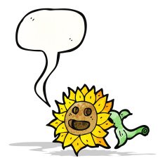 sunflower with speech bubble
