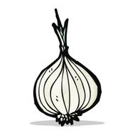 Cartoon Onion N9