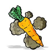 cartoon organic carrot