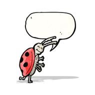 Cartoon Ladybug N59