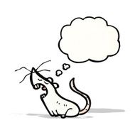 cartoon white mouse with thought bubble N12