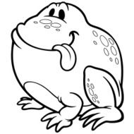 Frog N4