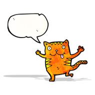 cartoon crazy cat N4