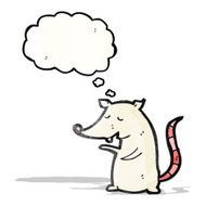 white rat cartoon