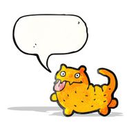 cartoon crazy cat N5