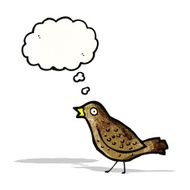 Bird cartoon N3